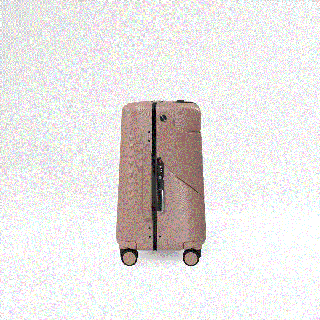 Dusty Pink Luggage Set