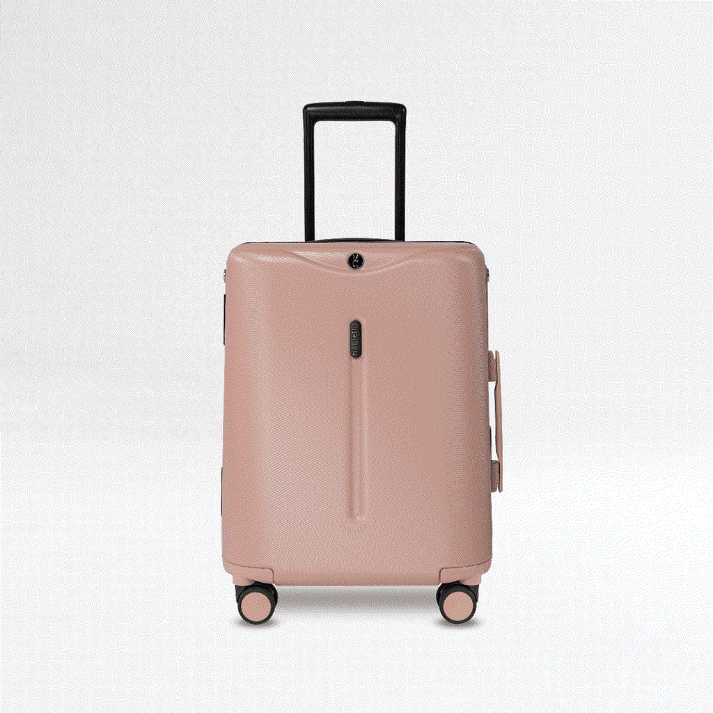 Dusty Pink Luggage Set