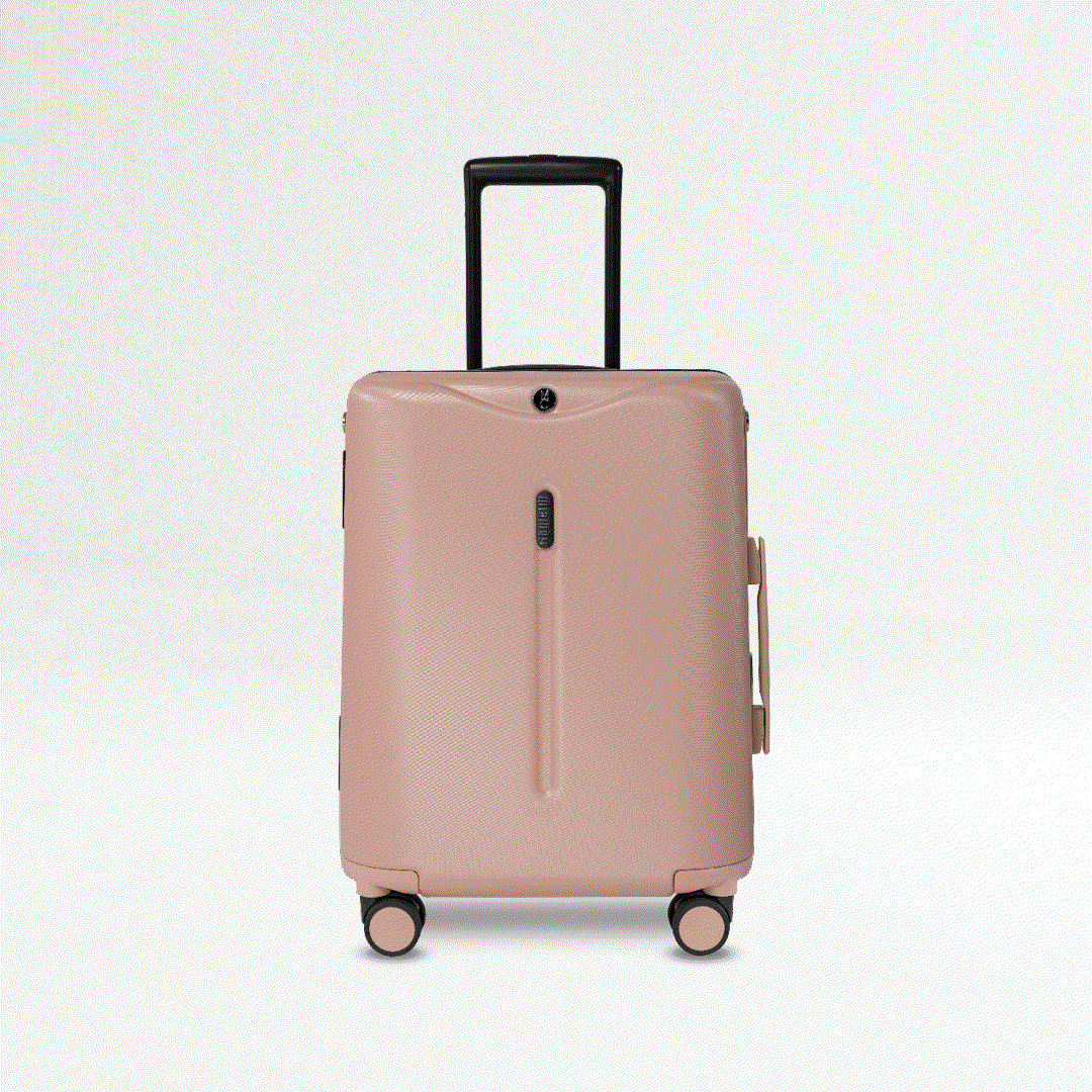 Dusty Pink Luggage Set