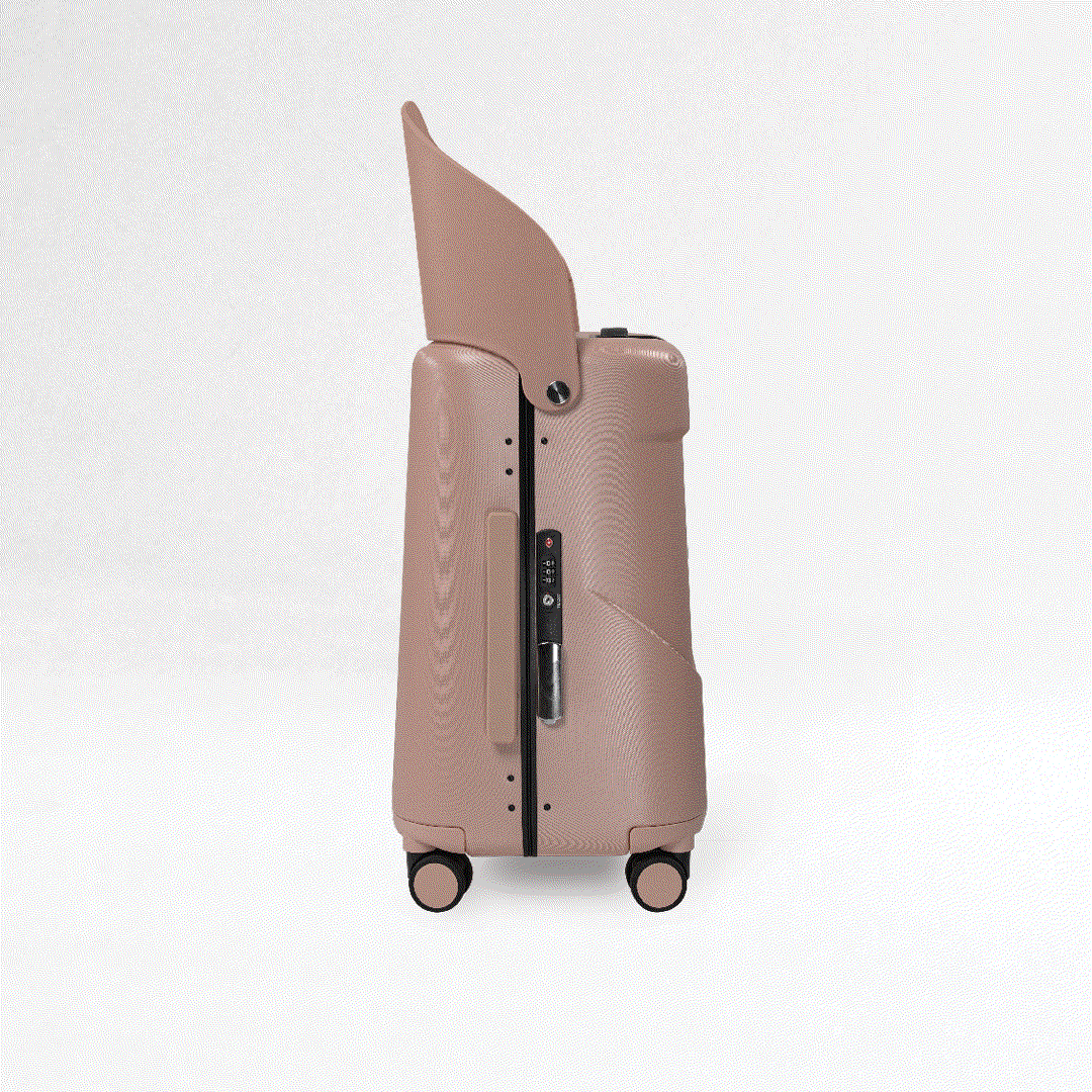 Dusty Pink Luggage Set