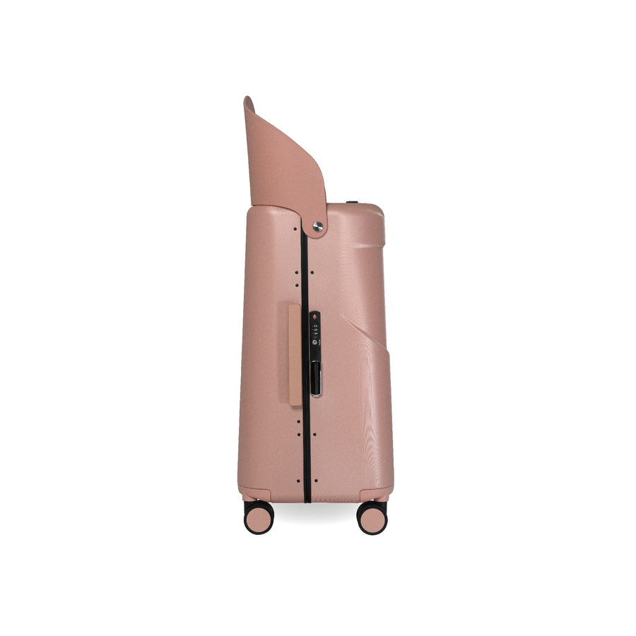 Seatbelt and hook