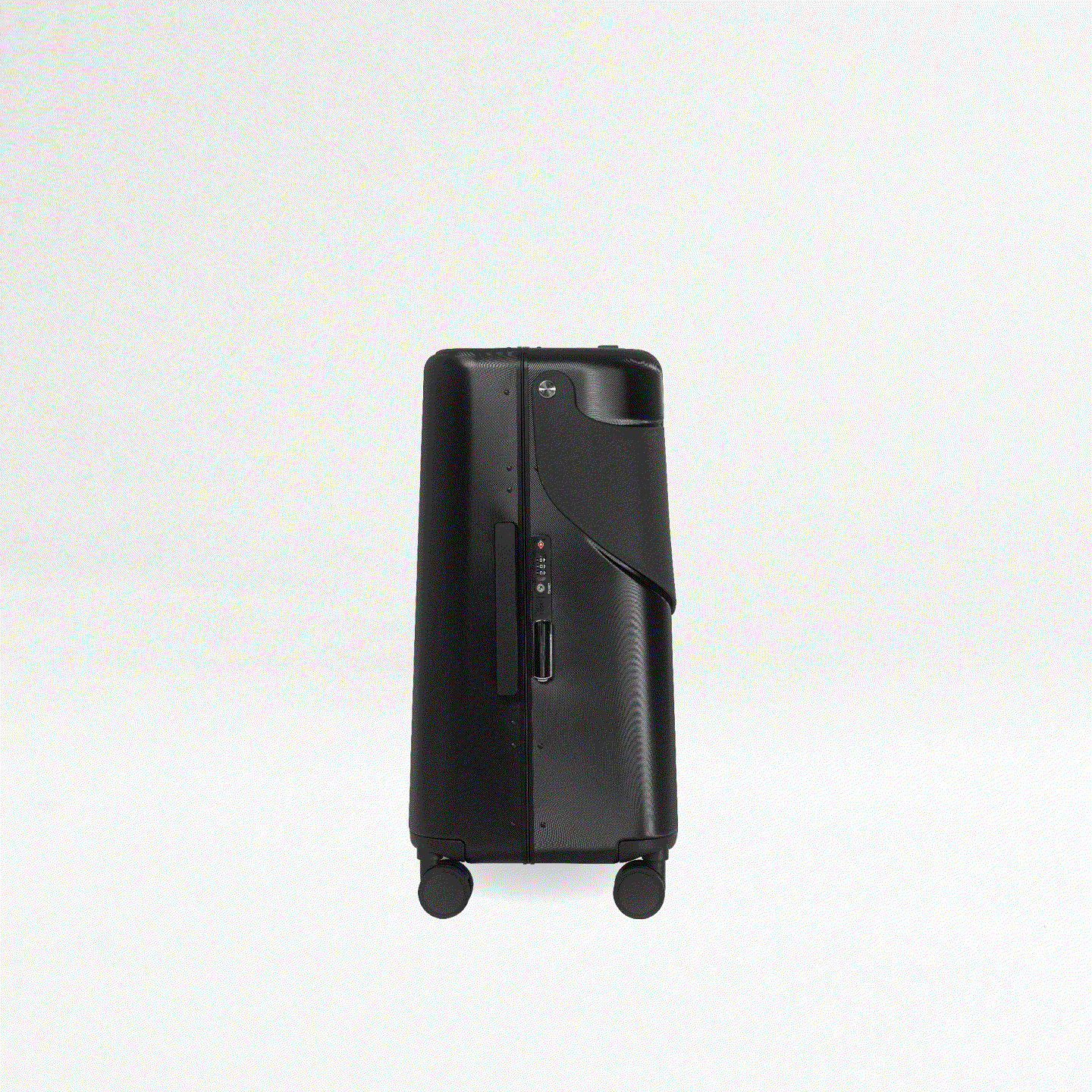 MiaMily Check In - Midnight Black