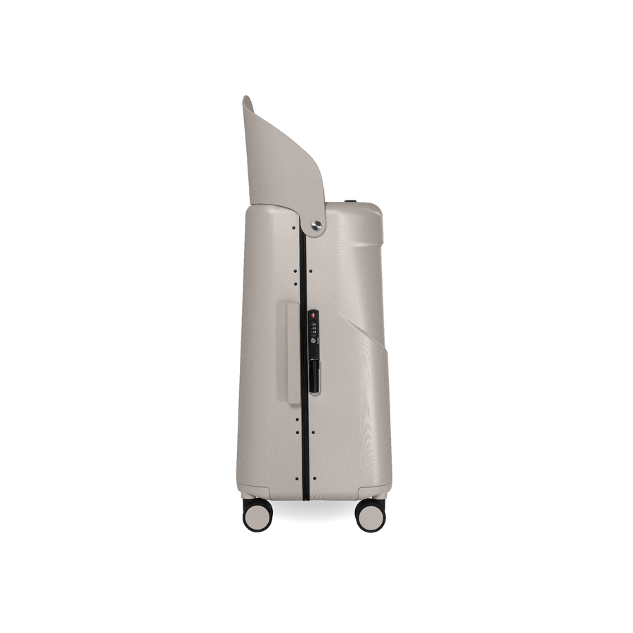 Seatbelt and hook