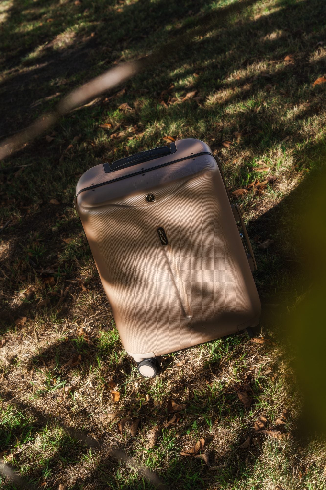 Champagne Gold Carry On on dappled grass